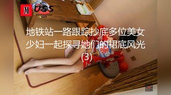 地铁站一路跟踪抄底多位美女少妇一起探寻她们的裙底风光 (3)