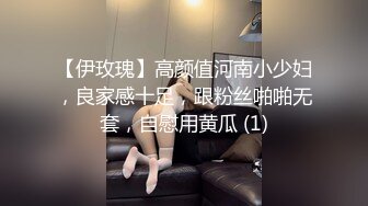 【伊玫瑰】高颜值河南小少妇，良家感十足，跟粉丝啪啪无套，自慰用黄瓜 (1)