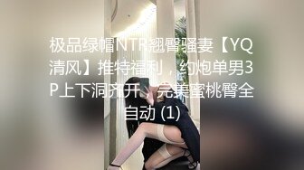 极品绿帽NTR翘臀骚妻【YQ清风】推特福利，约炮单男3P上下洞齐开，完美蜜桃臀全自动 (1)