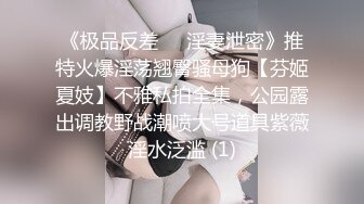 《极品反差☀️淫妻泄密》推特火爆淫荡翘臀骚母狗【芬姬夏妓】不雅私拍全集，公园露出调教野战潮喷大号道具紫薇淫水泛滥 (1)