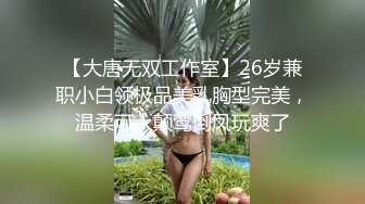 【大唐无双工作室】26岁兼职小白领极品美乳胸型完美，温柔可人颠鸾倒凤玩爽了