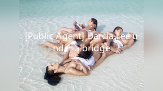 [Public Agent] Darcia Lee under a bridge