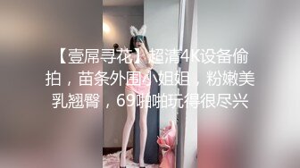 【壹屌寻花】超清4K设备偷拍，苗条外围小姐姐，粉嫩美乳翘臀，69啪啪玩得很尽兴