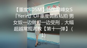 【重度BDSM】韩国巅峰女S「Yerin」OF重度调教私拍 男女奴一边做爱一边受刑，大幅超越常规调教【第十一弹】 (1)