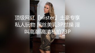 顶级网红『wister』土豪专享私人玩物 黑丝美乳3P怼操 淫叫高潮 高清私拍73P