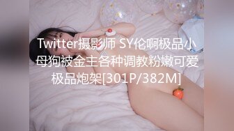 Twitter摄影师 SY伦啊极品小母狗被金主各种调教粉嫩可爱极品炮架[301P/382M]