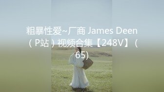 粗暴性爱~厂商 James Deen（P站）视频合集【248V】 (65)