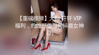 【重磅核弹】大神 轩轩 VIP福利，约炮颜值母狗抖音女神 (2)