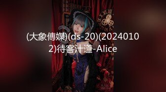 (大象傳媒)(ds-20)(20240102)待客汁道-Alice