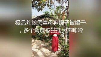 极品豹纹黑丝母狗嫂子被爆干，多个角度被狂插大声呻吟