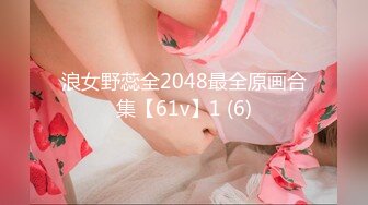 浪女野蕊全2048最全原画合集【61v】1 (6)