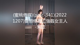 (蜜桃傳媒)(pmc-341)(20221207)變態修理工強姦女主人-米歐