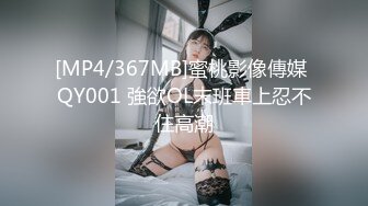 [MP4/367MB]蜜桃影像傳媒 QY001 強欲OL末班車上忍不住高潮