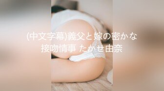 (中文字幕)義父と嫁の密かな接吻情事 たかせ由奈