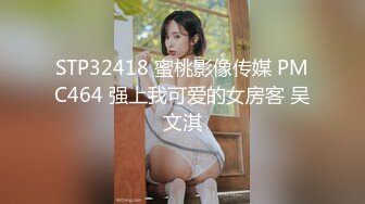 STP32418 蜜桃影像传媒 PMC464 强上我可爱的女房客 吴文淇