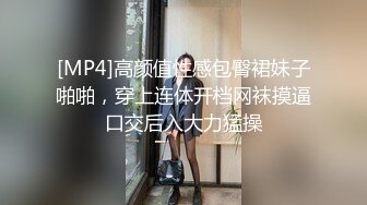 [MP4]高颜值性感包臀裙妹子啪啪，穿上连体开档网袜摸逼口交后入大力猛操