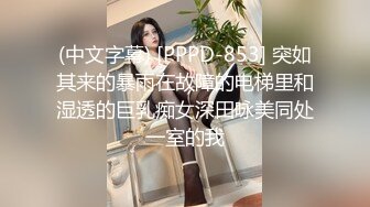 (中文字幕) [PPPD-853] 突如其来的暴雨在故障的电梯里和湿透的巨乳痴女深田咏美同处一室的我