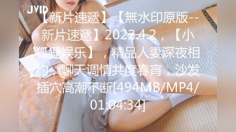 【新片速遞】【無水印原版--新片速遞】2022.4.2，【小狐狸娱乐】，精品人妻深夜相约，聊天调情共度春宵，沙发插穴高潮不断[494MB/MP4/01:04:34]