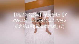 【精品CD合集】某房原版【YZWCD】12月份合集72V分2期之第1期[超清原画质] (7)