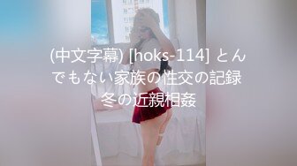 (中文字幕) [hoks-114] とんでもない家族の性交の記録 冬の近親相姦