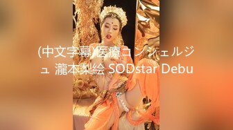 (中文字幕)医療コンシェルジュ 瀧本梨絵 SODstar Debu