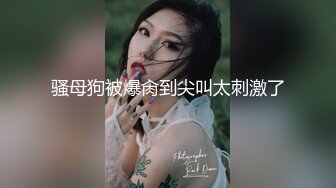 骚母狗被爆肏到尖叫太刺激了