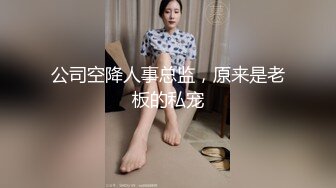 公司空降人事总监，原来是老板的私宠